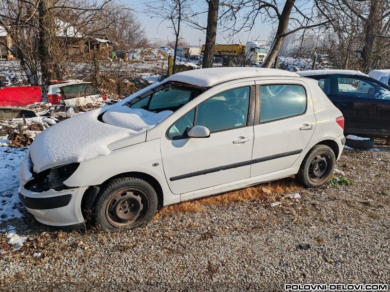 Peugeot  307 1.6 B Kompletan Auto U Delovima