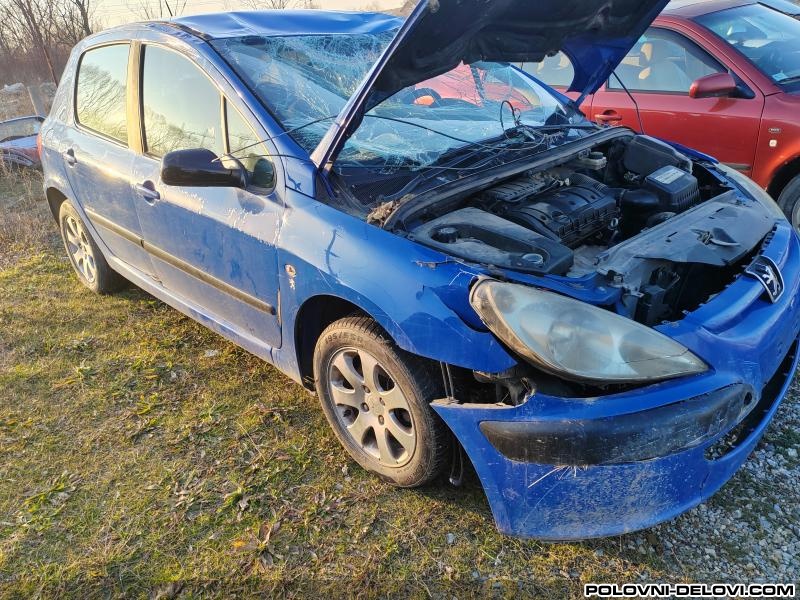 Peugeot  307 1.6 B  Kompletan Auto U Delovima