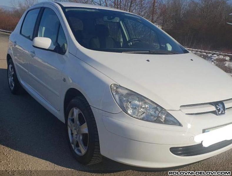 Peugeot  307 1.6 Benzin Kompletan Auto U Delovima
