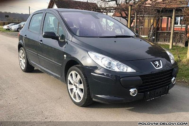 Peugeot  307 1.6 HDI Kompletan Auto U Delovima