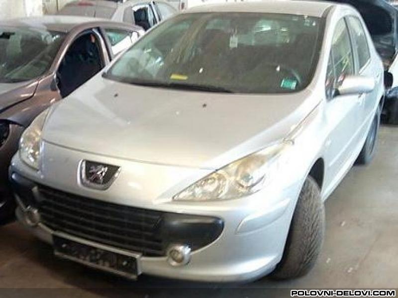 Peugeot  307 1.6 HDI Kompletan Auto U Delovima