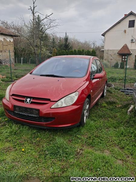 Peugeot  307 1.6 Kompletan Auto U Delovima