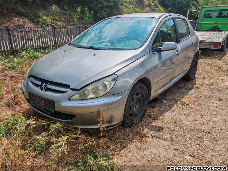 Peugeot  307 1.6 Kompletan Auto U Delovima