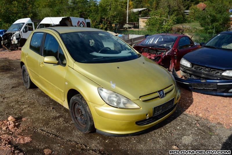 Peugeot  307 1.6b KAW Kompletan Auto U Delovima