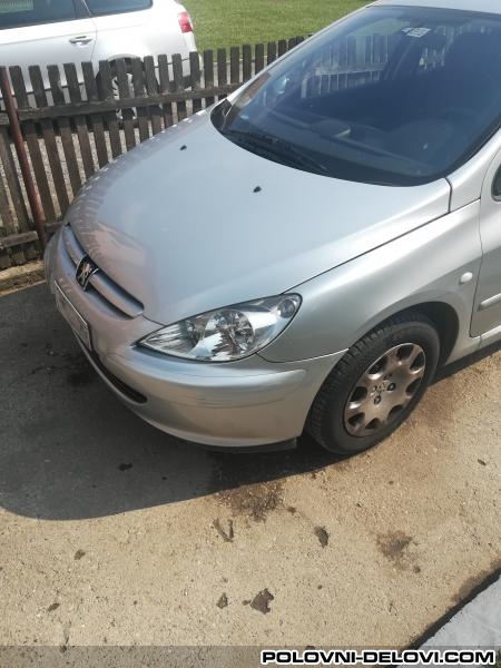 Peugeot  307 1.6hdi  Karoserija