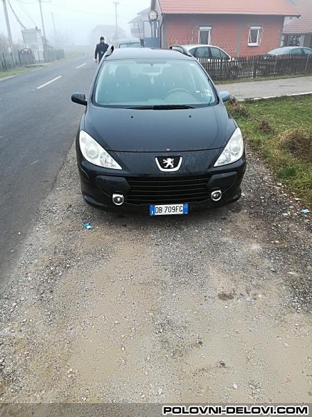 Peugeot  307 1.6hdi  Karoserija