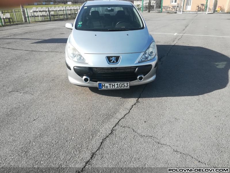 Peugeot  307 1.6hdi  Karoserija