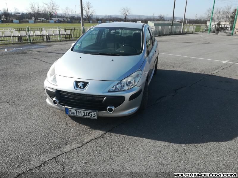 Peugeot  307 1.6hdi  Kompletan Auto U Delovima