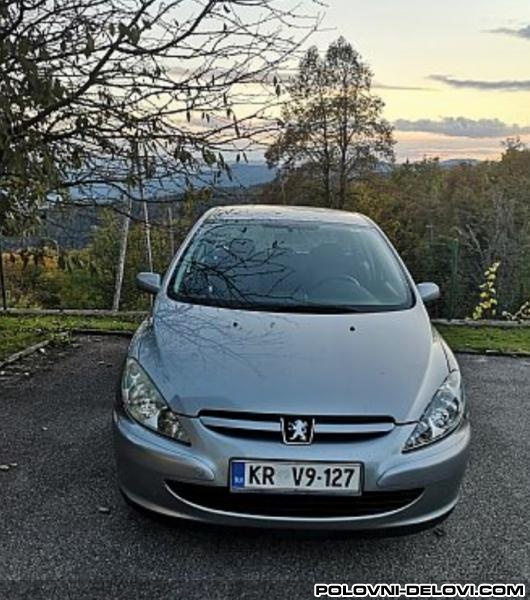 Peugeot  307 1.6i Kompletan Auto U Delovima