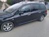 Peugeot  307 2. 0 Hdi 100 Kw 136  Razni Delovi