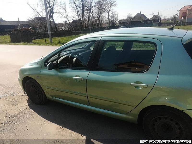 Peugeot  307 2.0 Benzin  Kompletan Auto U Delovima