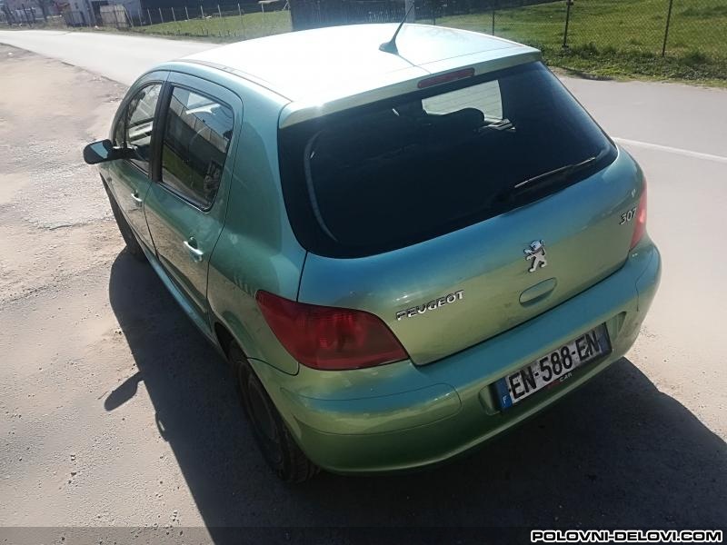 Peugeot  307 2.0 Benzin  Kompletan Auto U Delovima