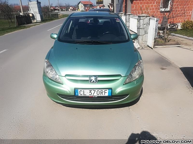 Peugeot  307 2.0 Benzin  Kompletan Auto U Delovima