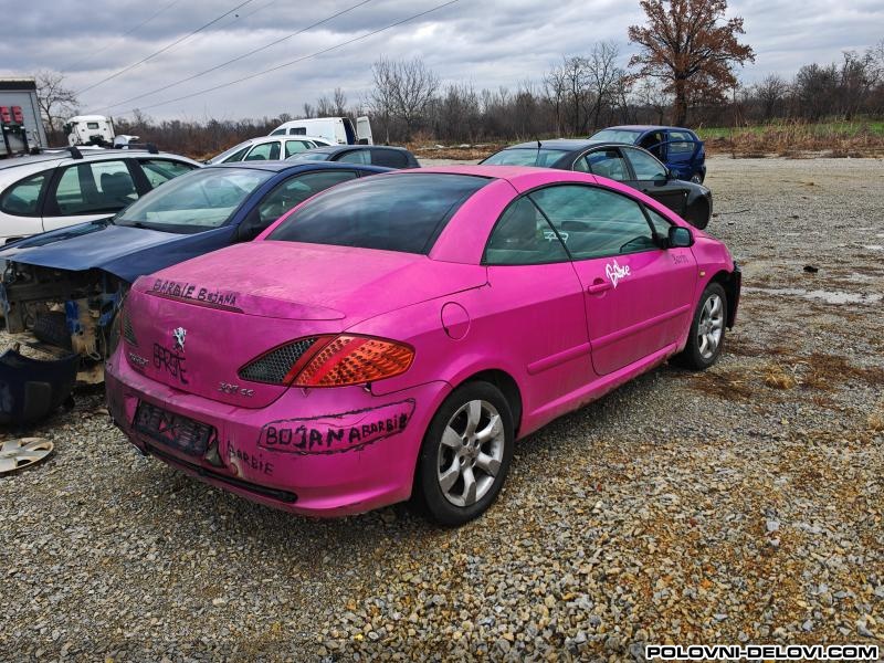 Peugeot  307 2.0 Hdi 100kw  Kompletan Auto U Delovima