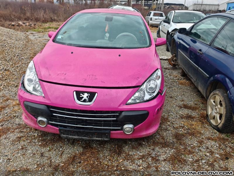 Peugeot  307 2.0 Hdi 100kw  Kompletan Auto U Delovima
