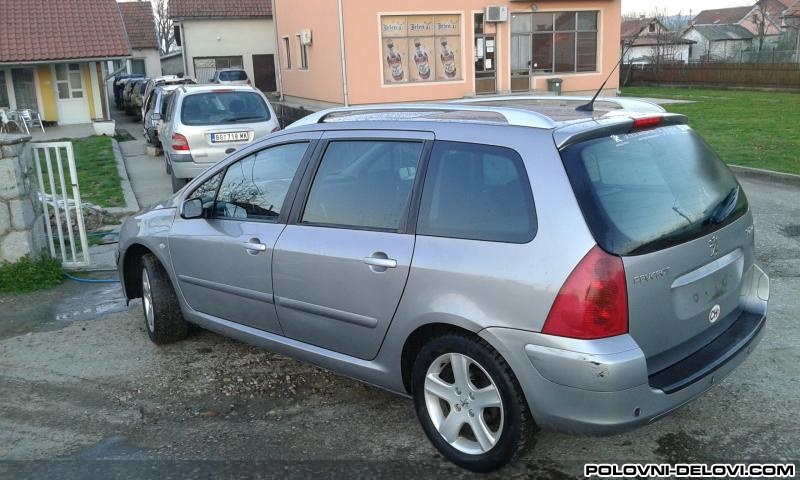 Peugeot  307 2.0 Hdi Kompletan Auto U Delovima