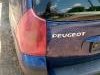 Peugeot  307 2.0 Hdi Kompletan Auto U Delovima