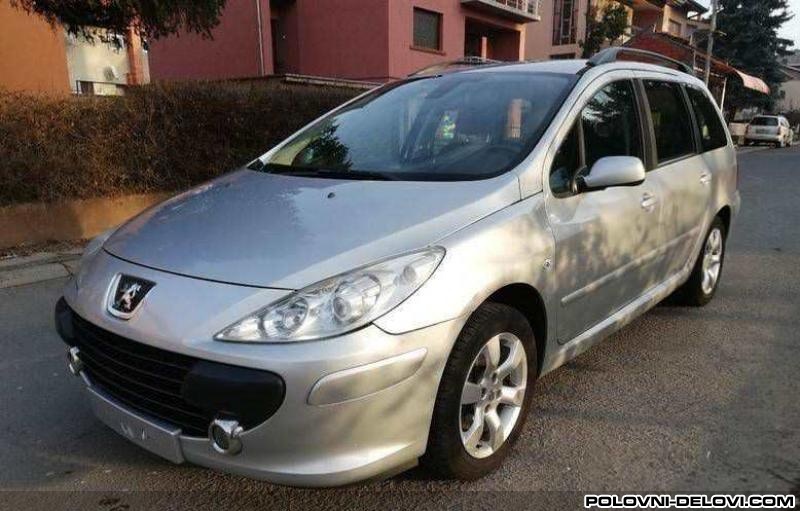 Peugeot  307 2.0 Hdi Kompletan Auto U Delovima
