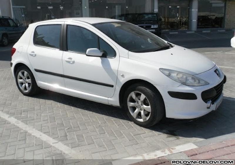 Peugeot  307 2.0HDI Kompletan Auto U Delovima