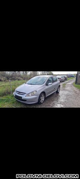 Peugeot  307 2.0hdi Izduvni Sistem