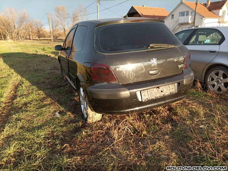 Peugeot  307 Benzin - Dizel Karoserija