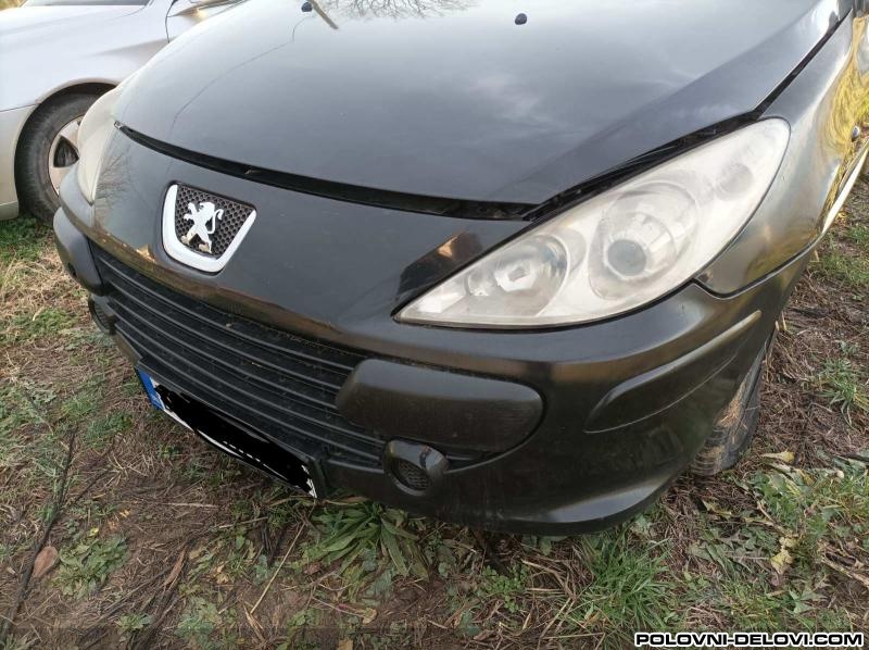 Peugeot  307 Benzin - Dizel Kocioni Sistem