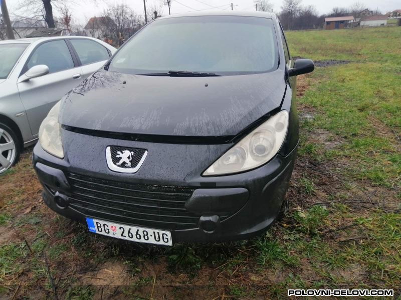 Peugeot  307 Benzin - Dizel Motor I Delovi Motora