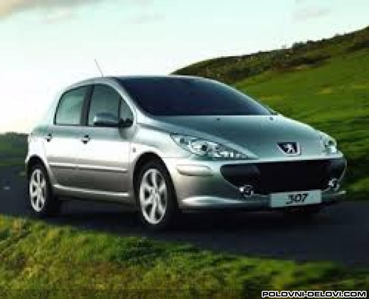 Peugeot  307 Benzin. Disel Izduvni Sistem