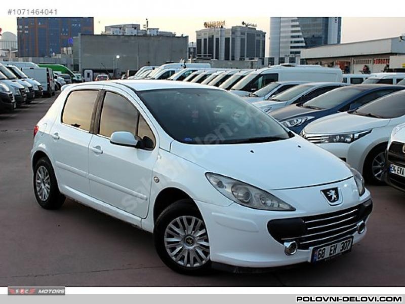 Peugeot  307 Benzin. Dizel Kompletan Auto U Delovima