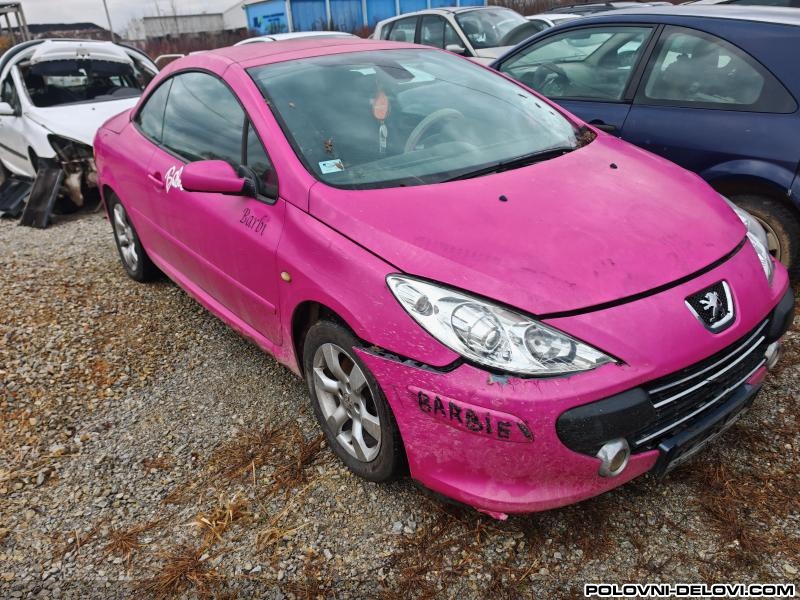 Peugeot  307 CC 2.0 Hdi 100kw  Kompletan Auto U Delovima