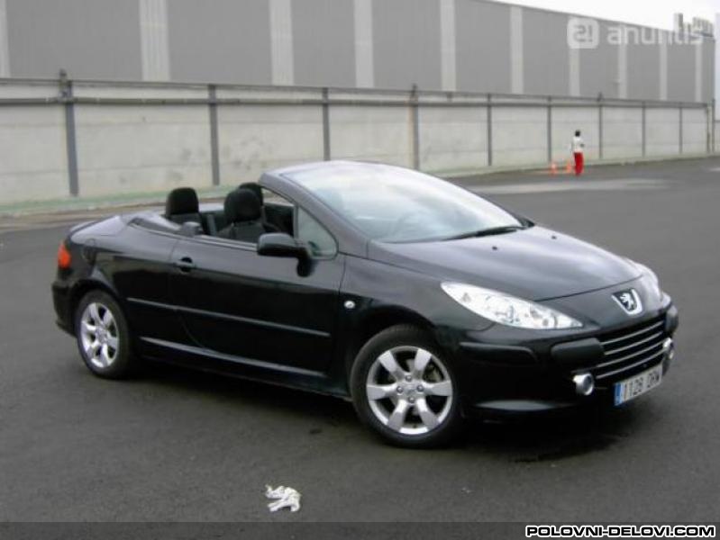 Peugeot  307 CC Benzin. Disel Filteri