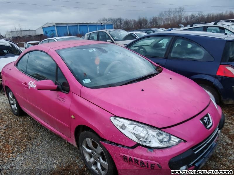 Peugeot  307 Cabrio Kompletan Auto U Delovima