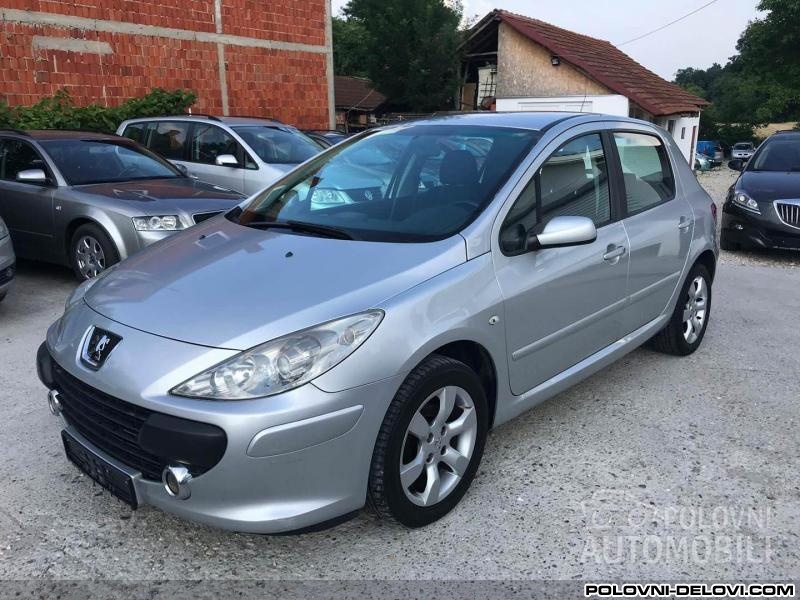 Peugeot  307 Delovi