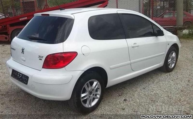 Peugeot  307 Dizel-benzin Svetla I Signalizacija