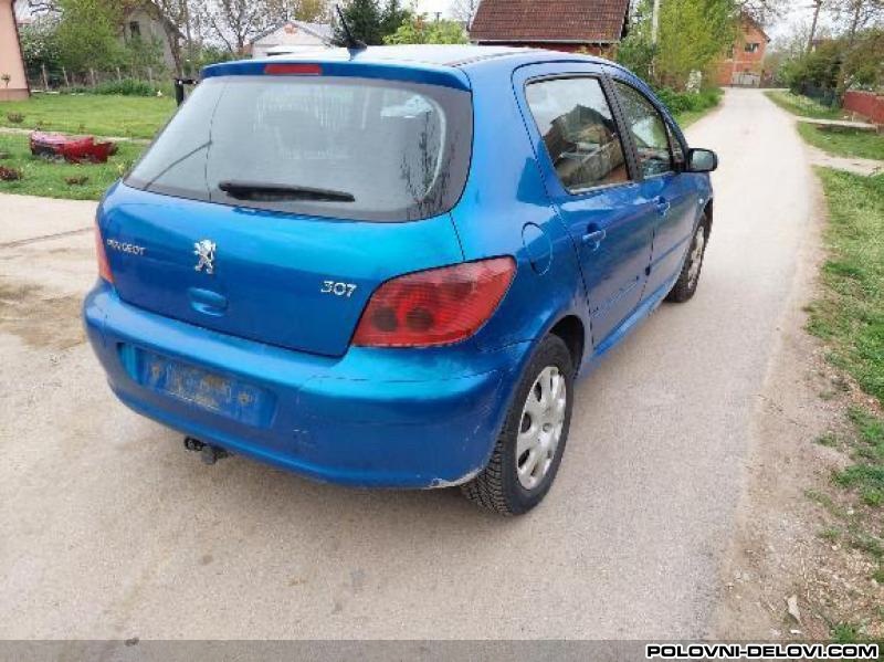 Peugeot  307  Elektrika I Paljenje