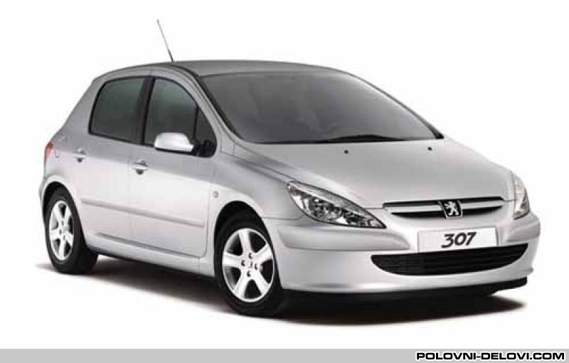 Peugeot  307  Elektrika I Paljenje