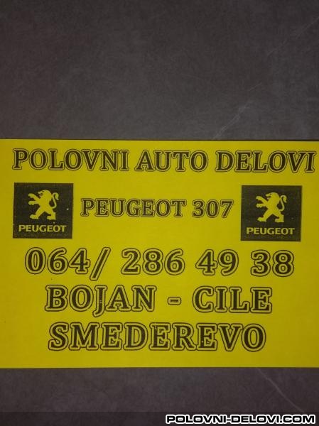 Peugeot  307 Hdi Kompletan Auto U Delovima