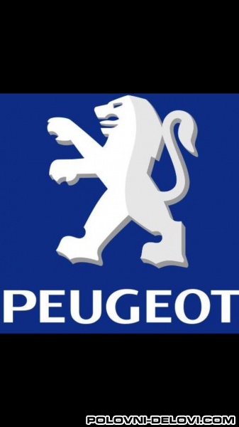 Peugeot  307 Hdi Kompletan Auto U Delovima