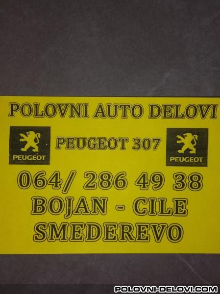 Peugeot  307 Hdi Razni Delovi