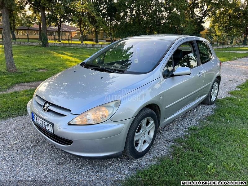 Peugeot  307  Izduvni Sistem