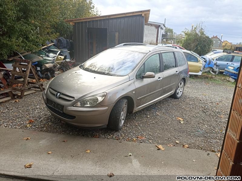 Peugeot  307  Izduvni Sistem