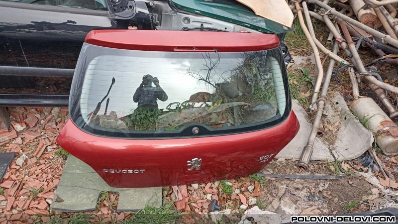Peugeot  307  Karoserija