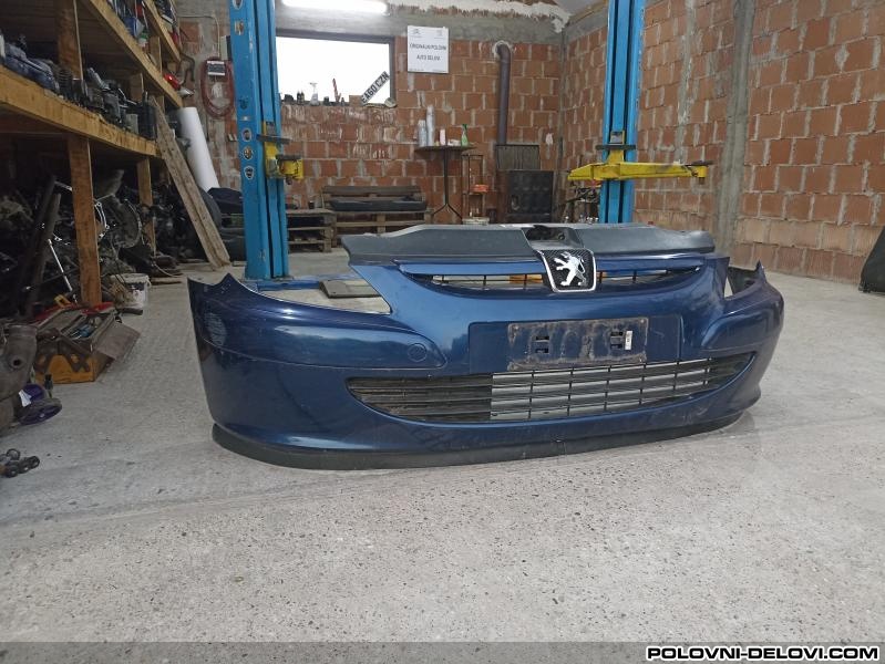 Peugeot  307  Karoserija