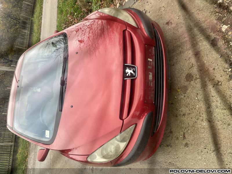 Peugeot  307  Karoserija