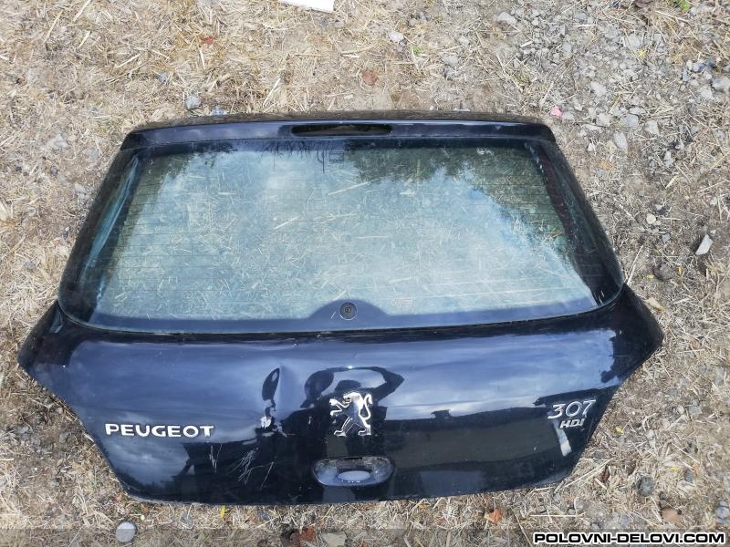 Peugeot  307  Karoserija