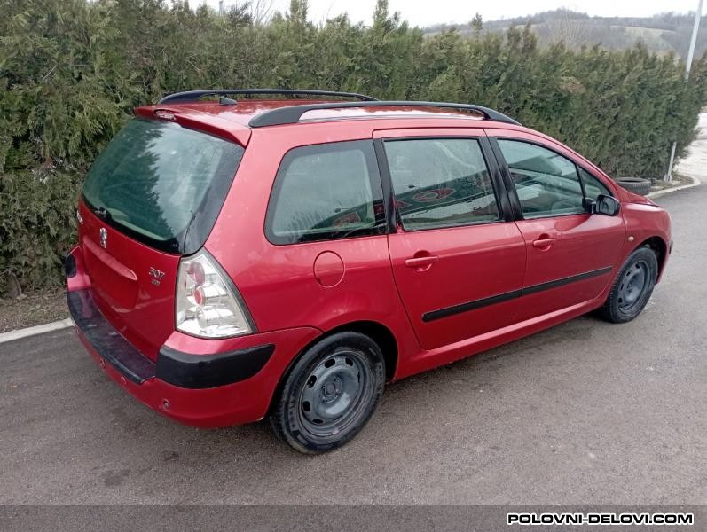Peugeot  307  Kompletan Auto U Delovima