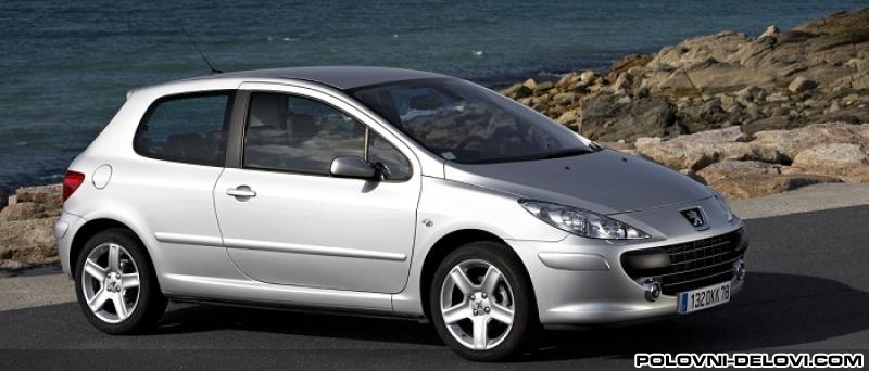 Peugeot  307  Kompletan Auto U Delovima