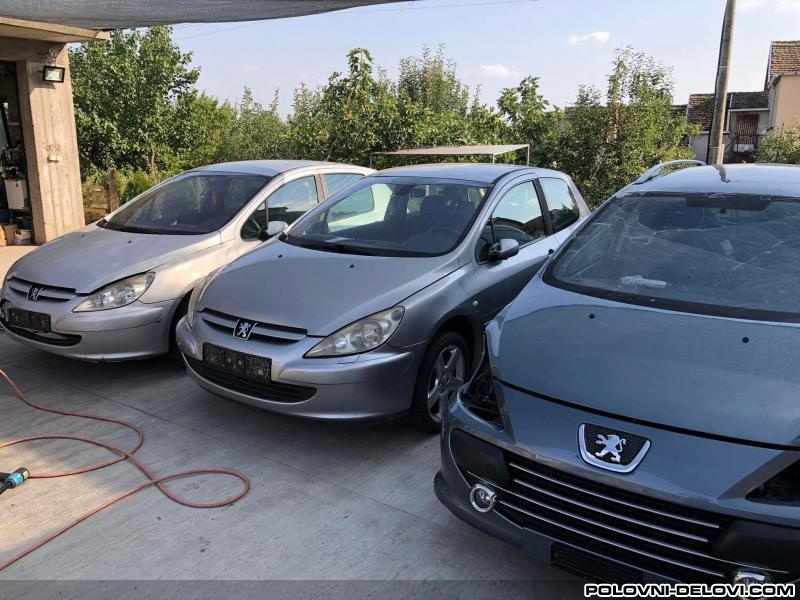 Peugeot  307  Kompletan Auto U Delovima