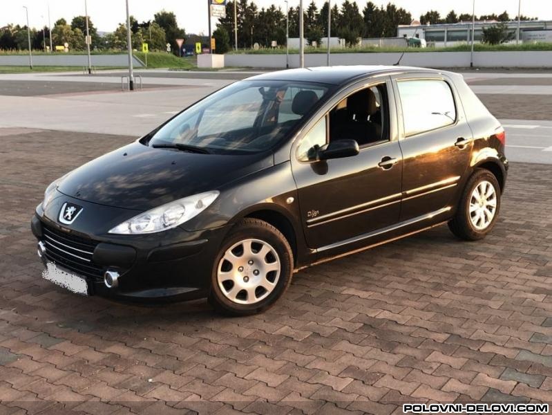 Peugeot  307  Kompletan Auto U Delovima