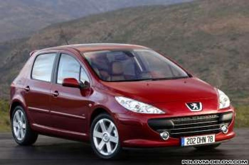 Peugeot  307  Kompletan Auto U Delovima